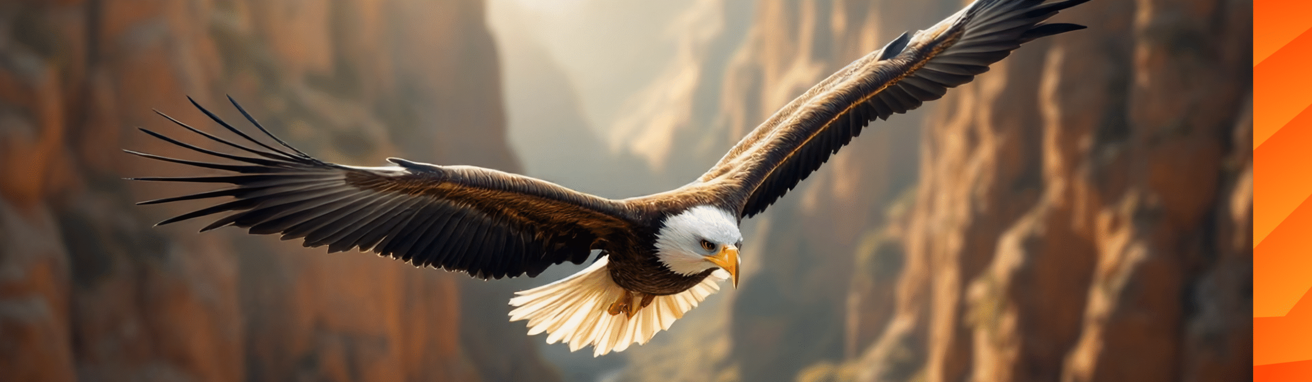 Built on Trust. Guided by Insight. Focused on Your Objectives.