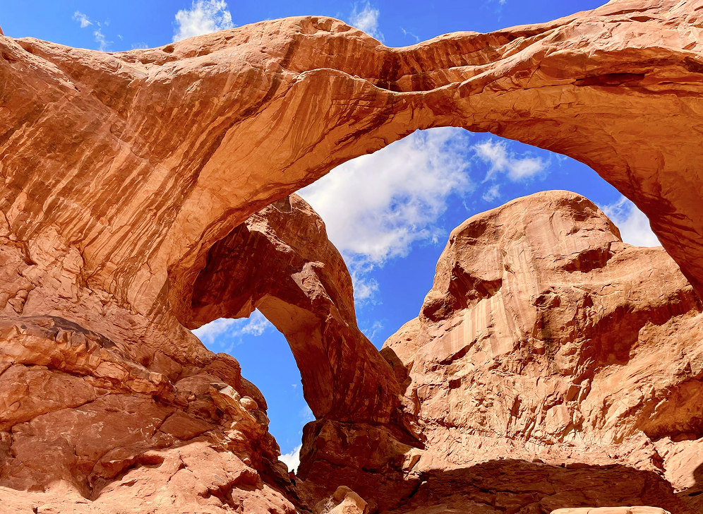 Want to Learn More About American Reinsurance?