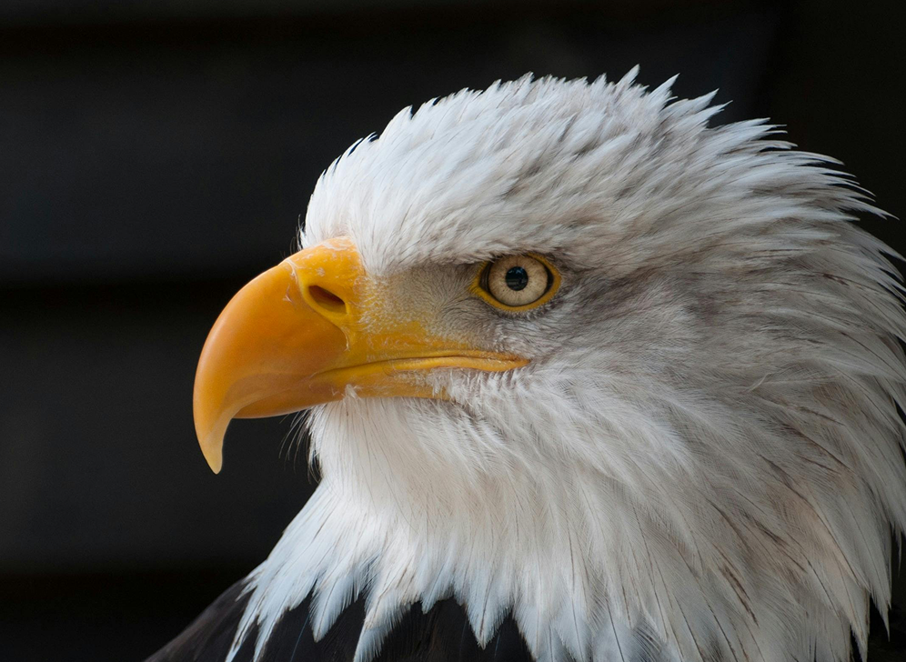 American Reinsurance Headquarter